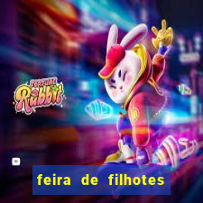 feira de filhotes porto alegre